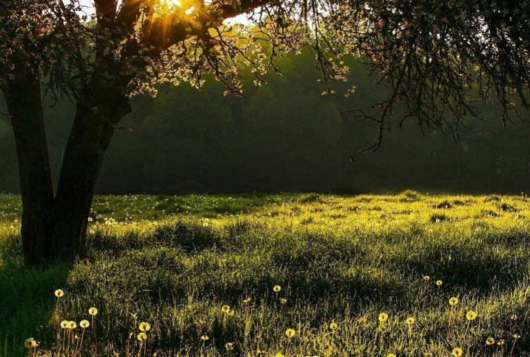 Romanticism in France