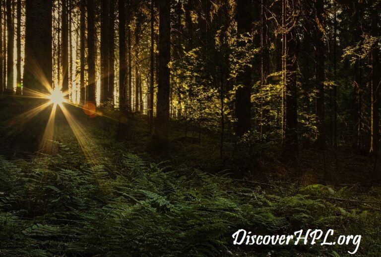 Burnout Syndrome and Logotherapy