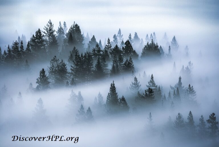 La falacia del solucionismo tecnológico para los problemas sociales